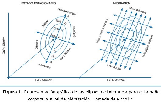 figura 1