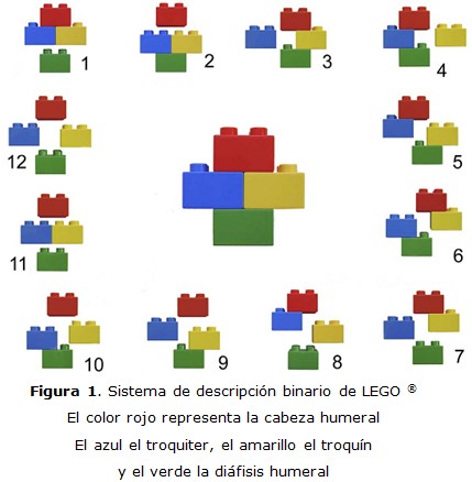 figura 1