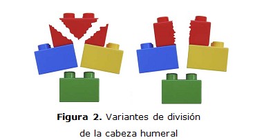 figura 2