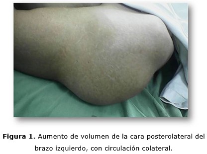 figura 1