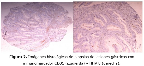 figura 2