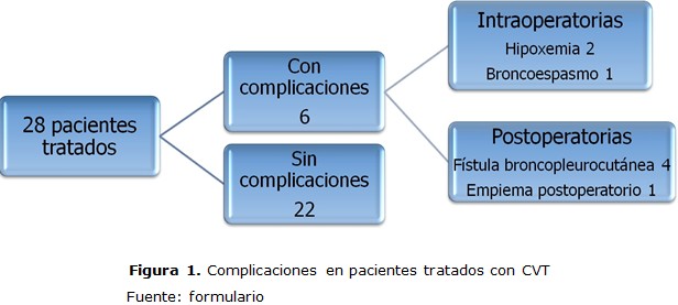 figura 1