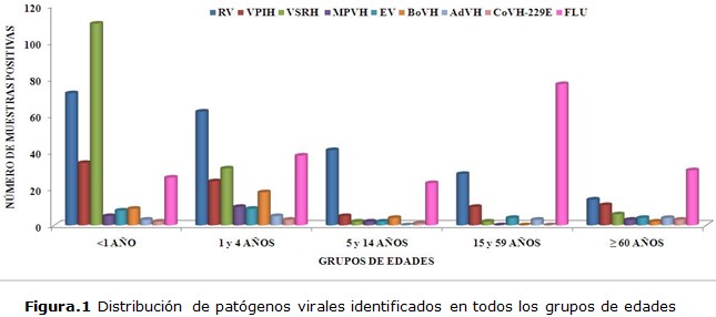 figura 1
