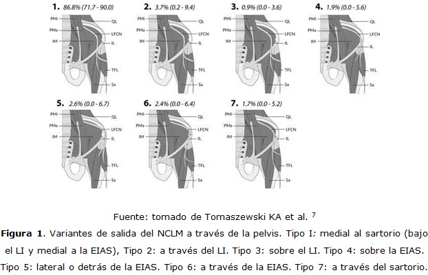 figura 1