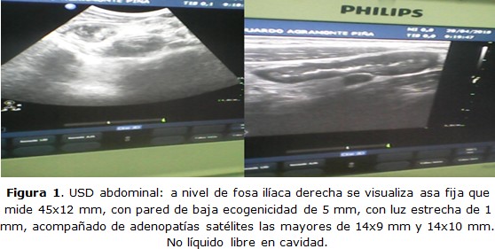 Figura 1