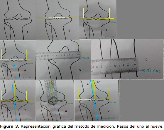 figura 3