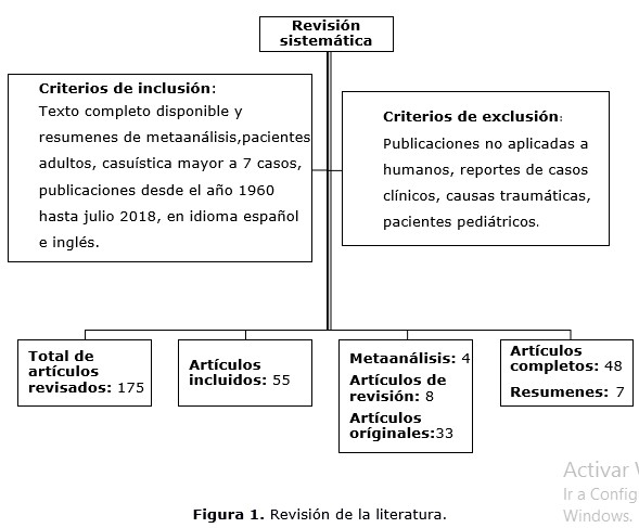 figura 1