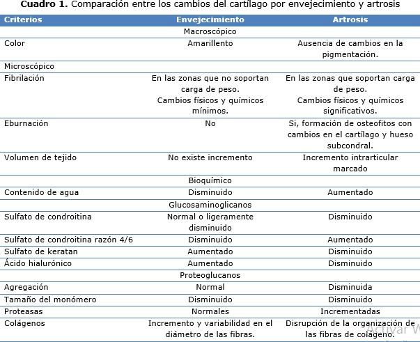Cuadro 1