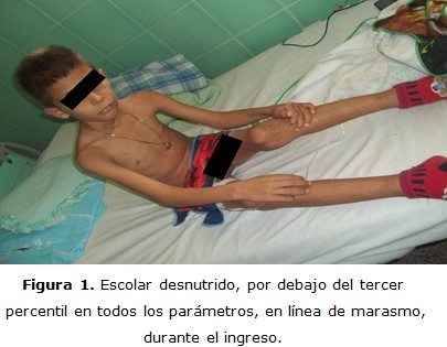 Figura 1