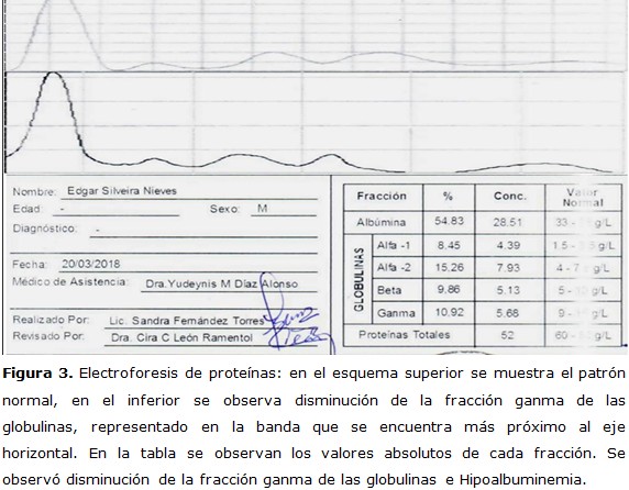 Figura 3