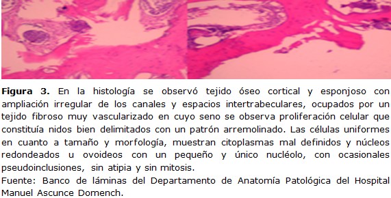 figura 3