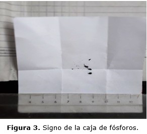 figura 3