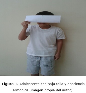 Figura 1