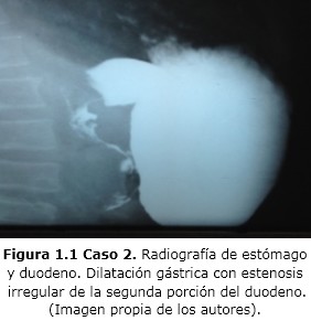 Figura 1.1
