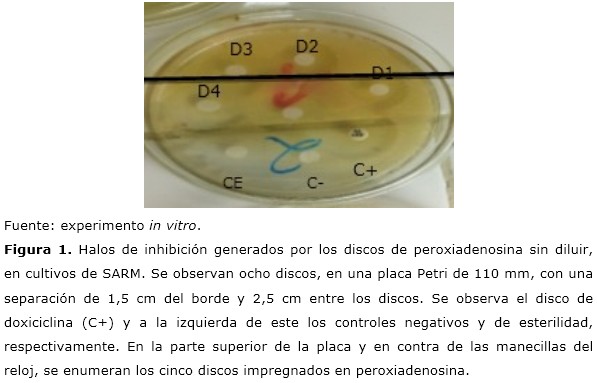 figura 1