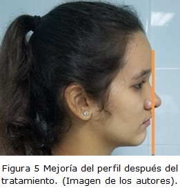 Figura 5