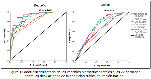 Figura 1