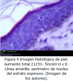 figura4