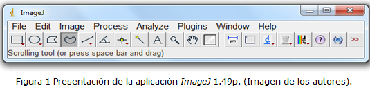 figura 1