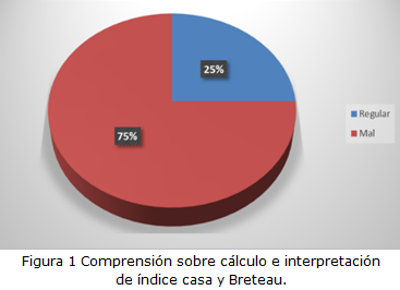 figura 1