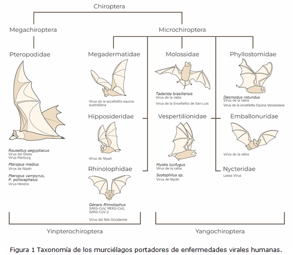 Figura 1