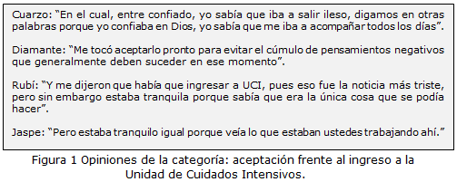 Figura 1