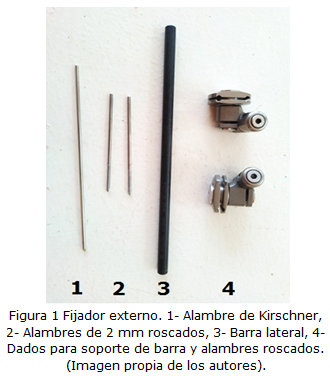 Figura 1