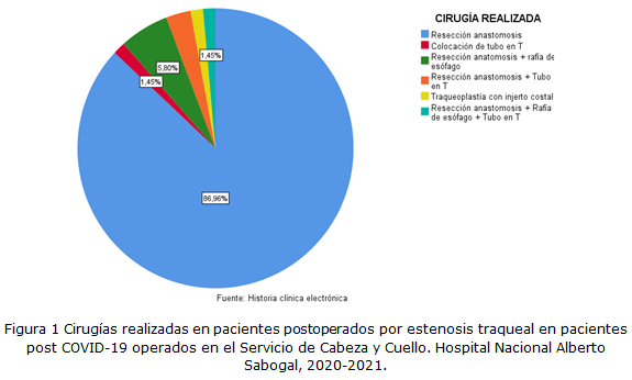 Figura 1