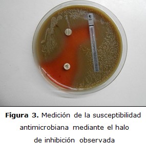 figura 3