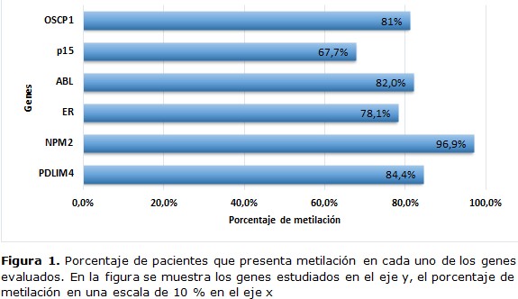 figura 1