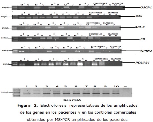 figura 2