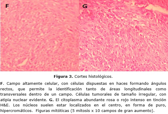 figura 3