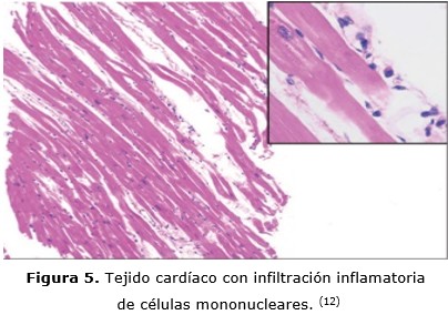 figura 5