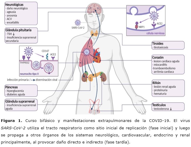 figura1