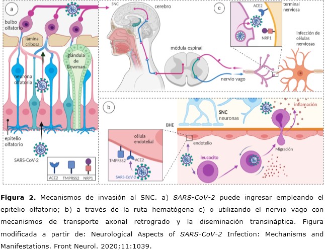 figura 2