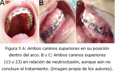 Figura 5