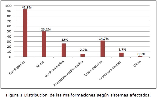 Figura 1