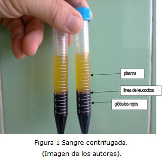 Figura 1