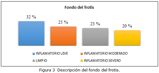 figura 3